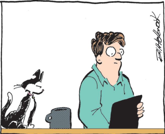 Animated cartoon OCR: Bittelbrook Bittelbrook