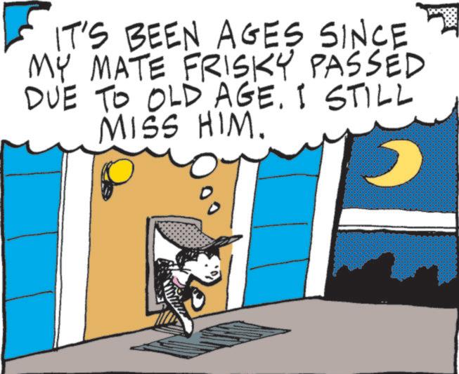Fictional character OCR: IT'S BEEN AGES SINCE MY MATE FRISKY PASSED DUE TO OLD AGE. I STILL MISS HIM. IT'S BEEN AGES SINCE MY MATE FRISKY PASSED DUE TO OLD AGE . I STILL MISS HIM .