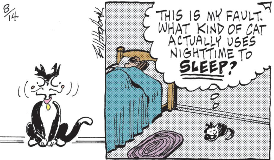 Animated cartoon OCR: 14 7/09/24/119 ??? ? THIS IS MY FAULT. WHAT KIND OF CAT ACTUALLY USES NIGHTTIME TO SLEEP? 00 14 7/09/24/119 ??? ? THIS IS MY FAULT . WHAT KIND OF CAT ACTUALLY USES NIGHTTIME TO SLEEP ? 00