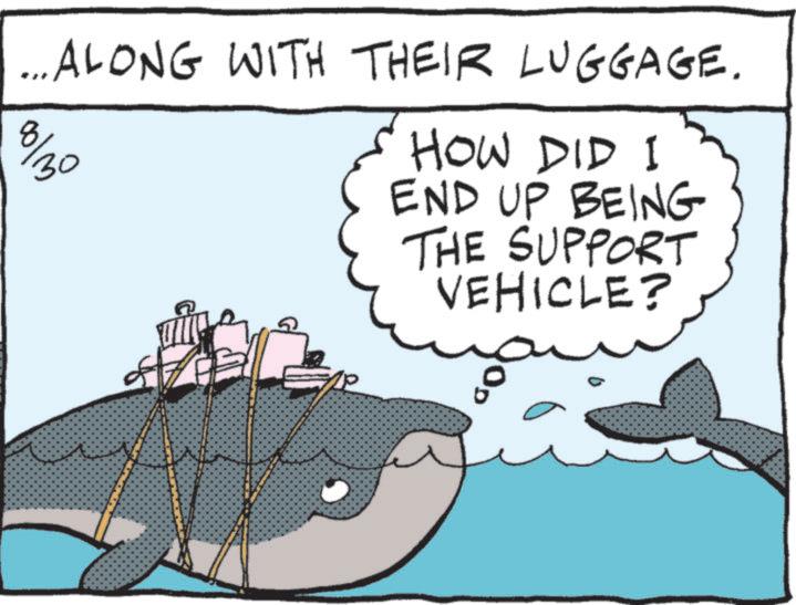 Cetaceans OCR: ... ALONG WITH THEIR LUGGAGE. 100/30 HOW DID I END UP BEING THE SUPPORT VEHICLE? ... ALONG WITH THEIR LUGGAGE . 100/30 HOW DID I END UP BEING THE SUPPORT VEHICLE ?