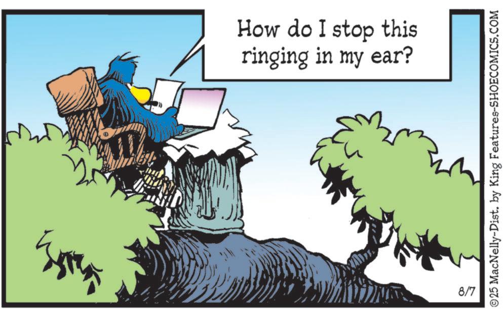 Graphics OCR: How do I stop this ringing in my ear? 8/7 ©25 MacNelly-Dist. by King Features-SHOECOMICS.COM How do I stop this ringing in my ear ? 8/7 © 25 MacNelly - Dist . by King Features-SHOECOMICS.COM