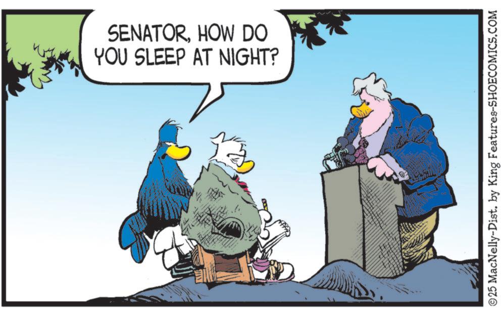 Beak OCR: SENATORHOW DO YOU SLEEP AT NIGHT? ©25 MacNelly-Dist. by King Features-SHOECOMICS.COM SENATORHOW DO YOU SLEEP AT NIGHT ? © 25 MacNelly - Dist . by King Features-SHOECOMICS.COM