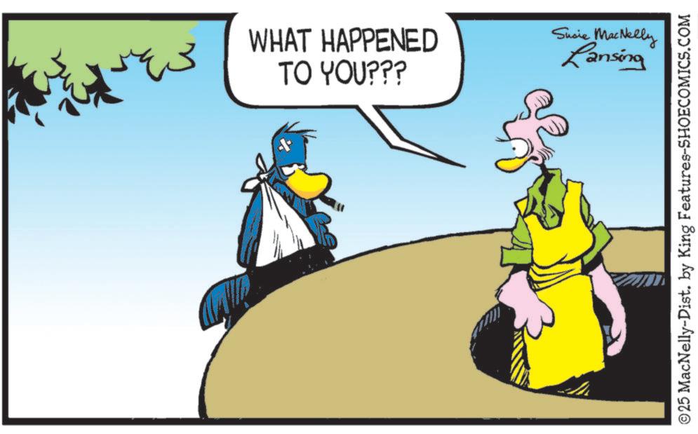 Comics OCR: ??? WHAT HAPPENED TO YOU??? Susie MacNelly Lansing ©25 MacNelly-Dist. by King Features-SHOECOMICS.COM ??? WHAT HAPPENED TO YOU ??? Susie MacNelly Lansing © 25 MacNelly - Dist . by King Features-SHOECOMICS.COM