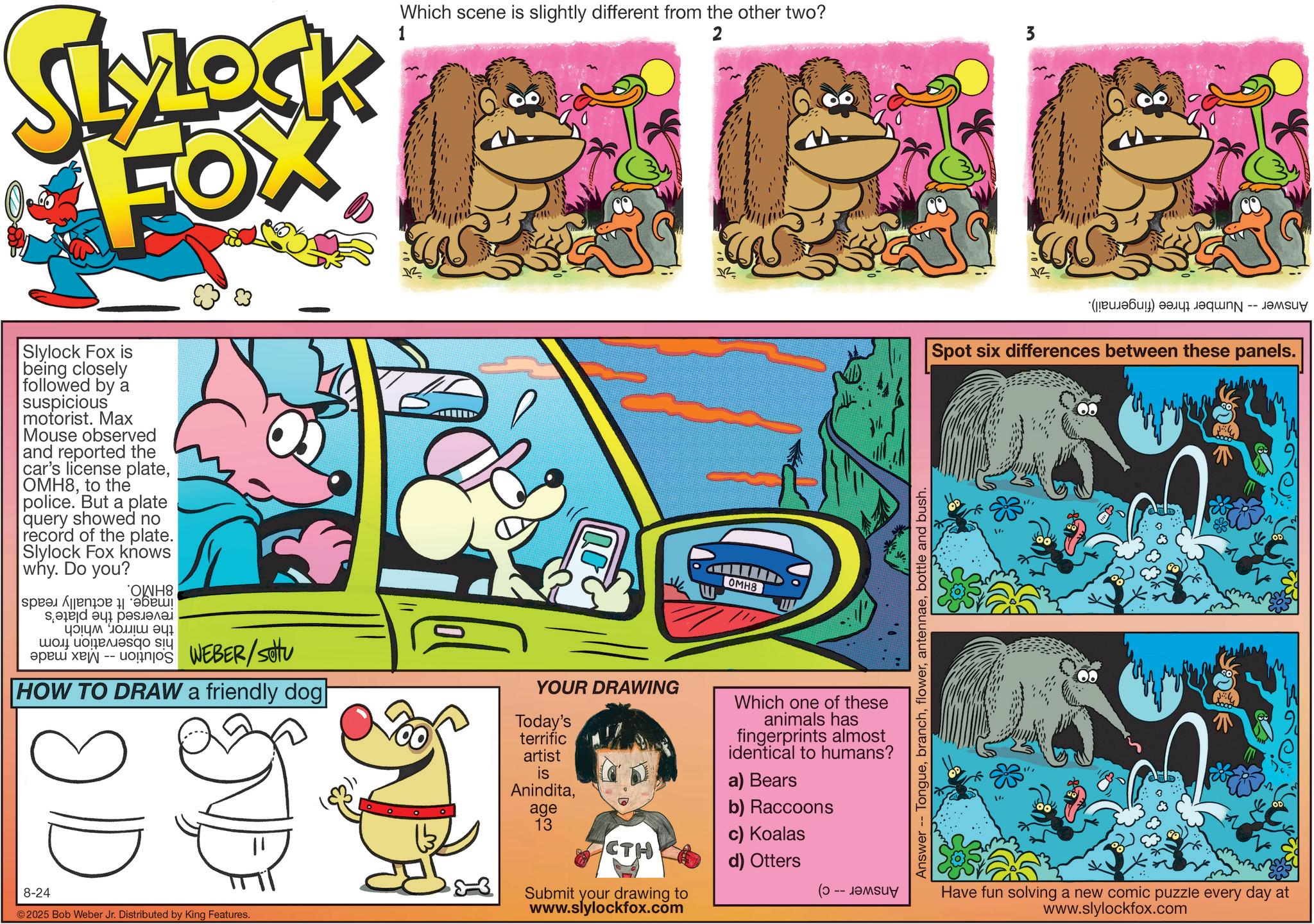 Publication OCR: SLYLOCK FOX Slylock Fox is being closely followed by a suspicious motorist. Max Mouse observed and reported the car's license plateto the police. But a plate query showed no record of the plate. Slylock Fox knows why. Do you? OWH8 spe???? ??? ??? ????? ???? ?? ??? ????? ?!? BER/sotu Which scene is slightly different from the other two? 1 2 3 OMH8 HOW TO DRAW a friendly dog 8-24 © 2025 Bob Weber Jr. Distributed by King Features. YOUR DRAWING Today's terrific artist is Aninditaage 13 CTH Submit your drawing to www.slylockfox.com Which one of these animals has fingerprints almost identical to humans? a) Bears b) Raccoons c) Koalas d) Otters (0 -- ???? Answer. Tonguebottle and bush. (?????) ???? ?q -- ?????? Spot six differences between these panels. Have fun solving a new comic puzzle every day at www.slylockfox.com SLYLOCK FOX Slylock Fox is being closely followed by a suspicious motorist . Max Mouse observed and reported the car's license plateto the police . But a plate query showed no record of the plate . Slylock Fox knows why . Do you ? OWH8 spe???? ??? ??? ????? ???? ?? ??? ????? ? ! ? BER / sotu Which scene is slightly different from the other two ? 1 2 3 OMH8 HOW TO DRAW a friendly dog 8-24 © 2025 Bob Weber Jr. Distributed by King Features . YOUR DRAWING Today's terrific artist is Aninditaage 13 CTH Submit your drawing to www.slylockfox.com Which one of these animals has fingerprints almost identical to humans ? a ) Bears b ) Raccoons c ) Koalas d ) Otters ( 0 -- ???? Answer . Tonguebottle and bush . ( ????? ) ???? ?q -- ?????? Spot six differences between these panels . Have fun solving a new comic puzzle every day at www.slylockfox.com