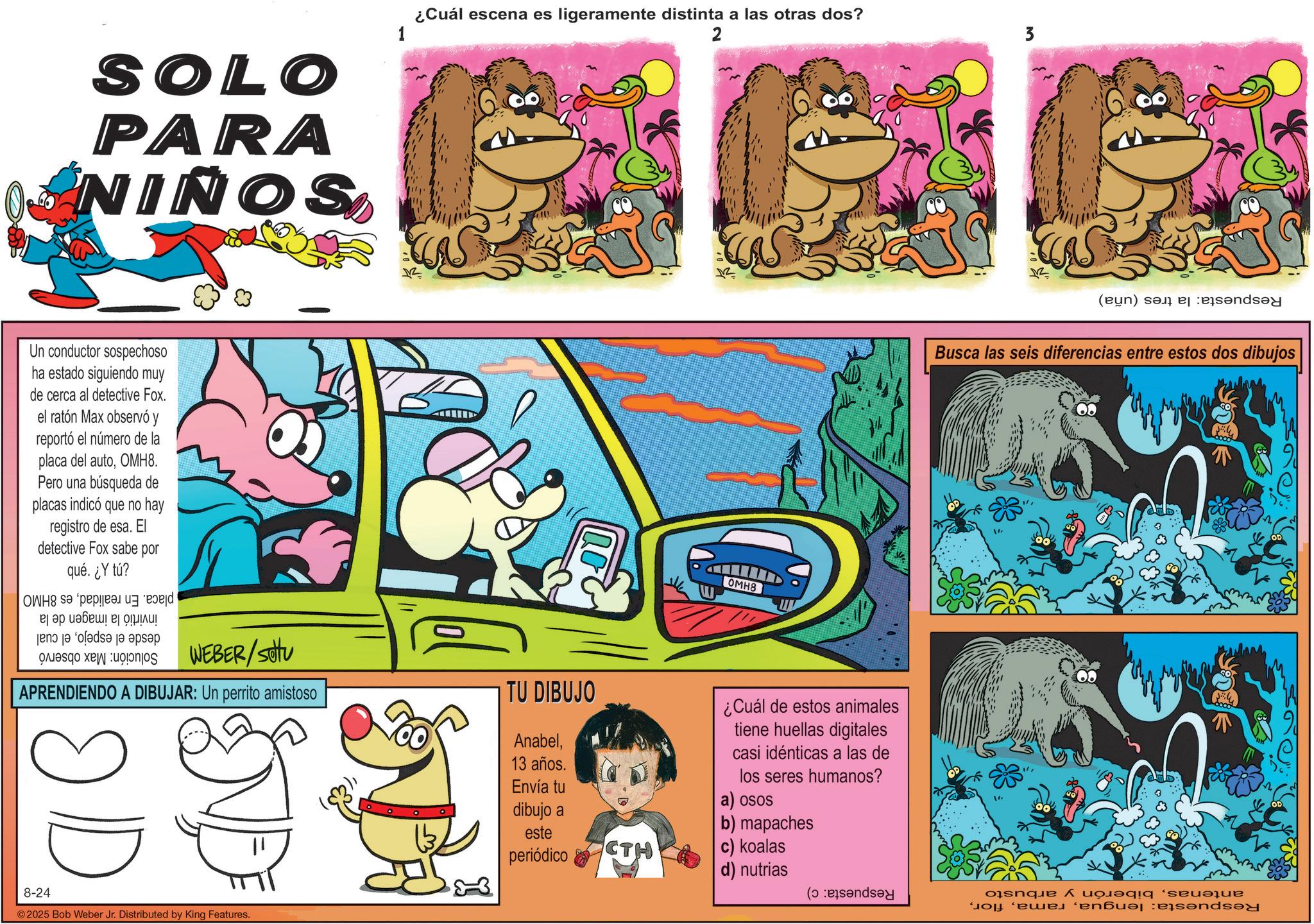 Comics OCR: SOLO PARA NIÑOS 1 Un conductor sospechoso ha estado siguiendo muy de cerca al detective Fox. el ratón Max observó y reportó el número de la placa del autoOMH8. Pero una búsqueda de placas indicó que no hay registro de esa. El detective Fox sabe por qué. ¿Y tú? ? ?? ?????? ?!!!! jen je de la p WEBER/settu ¿Cuál escena es ligeramente distinta a las otras dos? 2 3 OMH8 APRENDIENDO A DIBUJAR: Un perrito amistoso TU DIBUJO Anabel13 años. Envía tu dibujo a ¿Cuál de estos animales tiene huellas digitales casi idénticas a las de los seres humanos? a) osos 8-24 ©2025 Bob Weber Jr. Distributed by King Features. (b) and Busca las seis diferencias entre estos dos dibujos este b) mapaches periódico CTH c) koalas d) nutrias ( a otsnque Å???!q 'seu??? nu esandsey SOLO PARA NIÑOS 1 Un conductor sospechoso ha estado siguiendo muy de cerca al detective Fox . el ratón Max observó y reportó el número de la placa del autoOMH8 . Pero una búsqueda de placas indicó que no hay registro de esa . El detective Fox sabe por qué . ¿ Y tú ? ? ?? ?????? ? !!!! jen je de la p WEBER / settu ¿ Cuál escena es ligeramente distinta a las otras dos ? 2 3 OMH8 APRENDIENDO A DIBUJAR : Un perrito amistoso TU DIBUJO Anabel13 años . Envía tu dibujo a ¿ Cuál de estos animales tiene huellas digitales casi idénticas a las de los seres humanos ? a ) osos 8-24 © 2025 Bob Weber Jr. Distributed by King Features . ( b ) and Busca las seis diferencias entre estos dos dibujos este b ) mapaches periódico CTH c ) koalas d ) nutrias ( a otsnque Å??? ! q ' seu??? nu esandsey