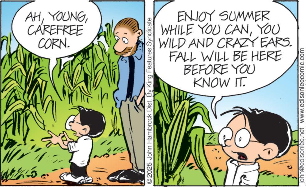 Child OCR: AHCAREFREE CORN. 4 ©2025 John Hambrock Dist. By King Features Syndicate ENJOY SUMMER WHILE YOU CANYOU WILD AND CRAZY EARS. FALL WILL BE HERE BEFORE YOU KNOW IT. john@edisonlee.net www.edisonleecomic.com AHCAREFREE CORN . 4 © 2025 John Hambrock Dist . By King Features Syndicate ENJOY SUMMER WHILE YOU CANYOU WILD AND CRAZY EARS . FALL WILL BE HERE BEFORE YOU KNOW IT . john@edisonlee.net www.edisonleecomic.com
