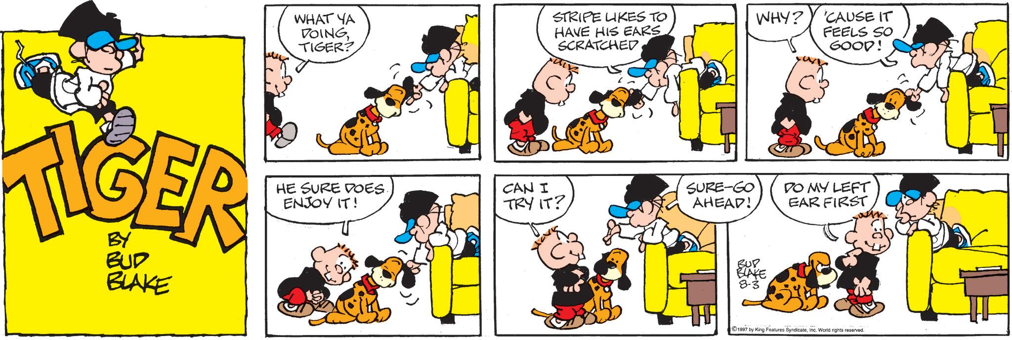 Conversation OCR: WHAT YA DOINGTIGER? STRIPE LIKES TO HAVE HIS EARS SCRATCHED WHY? CAUSE IT FEELS SO GOOD! TIGER BUD BLAKE HE SURE DOES. ENJOY IT! CAN I TRY IT? SURE-GO AHEAD! DO MY LEFT EAR FIRST HH BUB BLAKE 8-3 1997 by King Features SyndicateInc. World rights reserved. WHAT YA DOINGTIGER ? STRIPE LIKES TO HAVE HIS EARS SCRATCHED WHY ? CAUSE IT FEELS SO GOOD ! TIGER BUD BLAKE HE SURE DOES . ENJOY IT ! CAN I TRY IT ? SURE - GO AHEAD ! DO MY LEFT EAR FIRST HH BUB BLAKE 8-3 1997 by King Features SyndicateInc. World rights reserved .