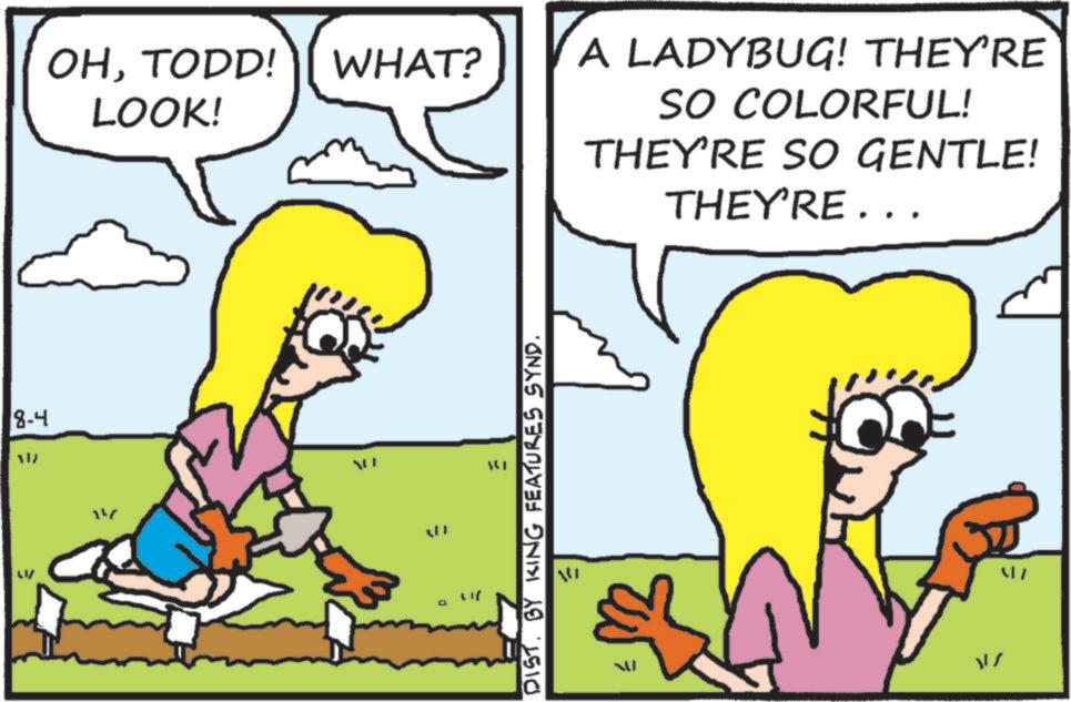 Animation OCR: 8-4 317 14 OHTODD! WHAT? LOOK! D DIST. BY KING FEATURES SYND. W A LADYBUG! THEY'RE SO COLORFUL! THEY'RE SO GENTLE! THEY'RE... 8-4 317 14 OHTODD ! WHAT ? LOOK ! D DIST . BY KING FEATURES SYND . W A LADYBUG ! THEY'RE SO COLORFUL ! THEY'RE SO GENTLE ! THEY'RE ...