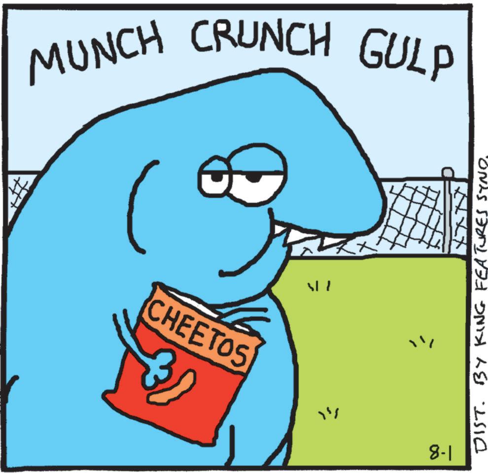 Animated cartoon OCR: MUNCH CRUNCH GULP CHEETOS "" 8-1 DIST. BY KING FEATURES SYND. MUNCH CRUNCH GULP CHEETOS " " 8-1 DIST . BY KING FEATURES SYND .