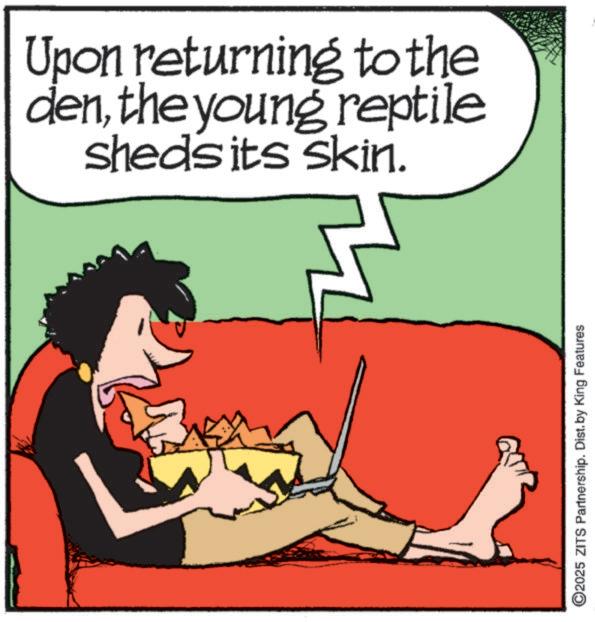 Clip art OCR: Upon returning to the denthe young reptile sheds its skin. ©2025 ZITS Partnership. Dist. by King Features Upon returning to the denthe young reptile sheds its skin . © 2025 ZITS Partnership . Dist . by King Features