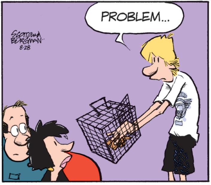 Graphics OCR: Scartand BORGMAN. 8.28 PROBLEM... Scartand BORGMAN . 8.28 PROBLEM ...