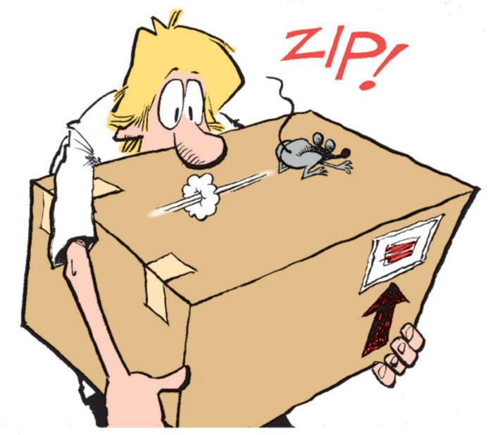 Animation OCR: ZIP! 0000 ZIP ! 0000