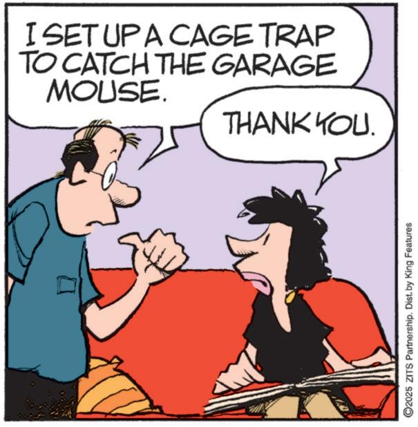 Happiness OCR: I SET UP A CAGE TRAP TO CATCH THE GARAGE MOUSE. THANK YOU. ©2025 ZITS Partnership. Dist. by King Features I SET UP A CAGE TRAP TO CATCH THE GARAGE MOUSE . THANK YOU . © 2025 ZITS Partnership . Dist . by King Features
