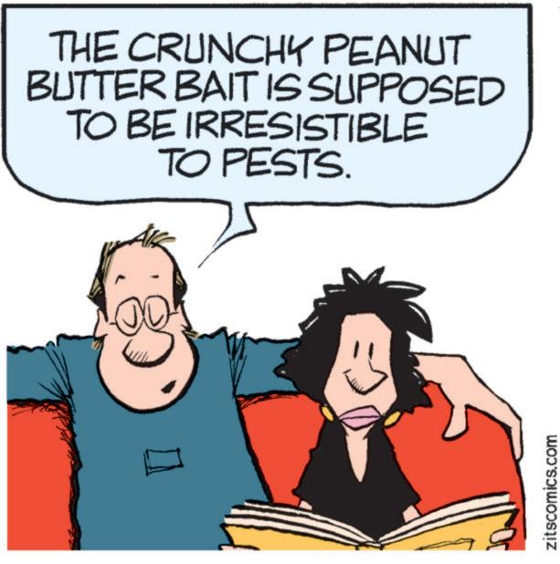 Clip art OCR: THE CRUNCHY PEANUT BUTTER BAIT IS SUPPOSED TO BE IRRESISTIBLE TO PESTS. zitscomics.com THE CRUNCHY PEANUT BUTTER BAIT IS SUPPOSED TO BE IRRESISTIBLE TO PESTS . zitscomics.com