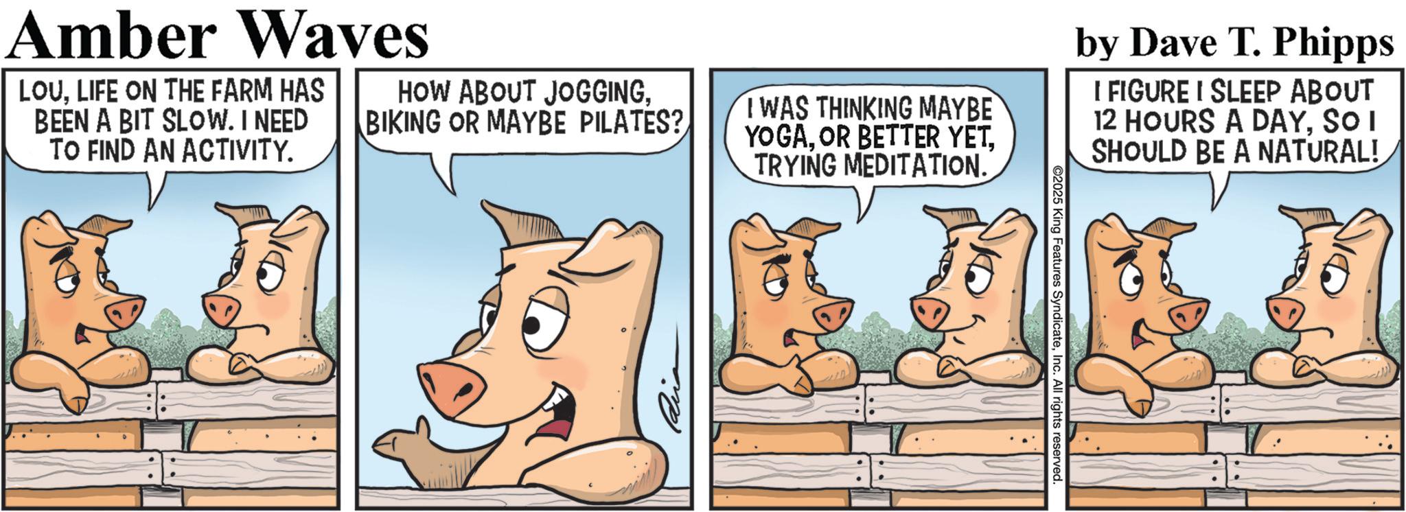Livestock OCR: Amber Waves LOULIFE ON THE FARM HAS BEEN A BIT SLOW. I NEED TO FIND AN ACTIVITY. HOW ABOUT JOGGINGBIKING OR MAYBE PILATES? I WAS THINKING MAYBE YOGATRYING MEDITATION. by Dave T. Phipps I FIGURE I SLEEP ABOUT 12 HOURS A DAYSO I SHOULD BE A NATURAL! @2025 King Features SyndicateInc. All rights reserved Amber Waves LOULIFE ON THE FARM HAS BEEN A BIT SLOW . I NEED TO FIND AN ACTIVITY . HOW ABOUT JOGGINGBIKING OR MAYBE PILATES ? I WAS THINKING MAYBE YOGAOR BETTER YETTRYING MEDITATION . by Dave T. Phipps I FIGURE I SLEEP ABOUT 12 HOURS A DAYSO I SHOULD BE A NATURAL ! @ 2025 King Features SyndicateInc. All rights reserved