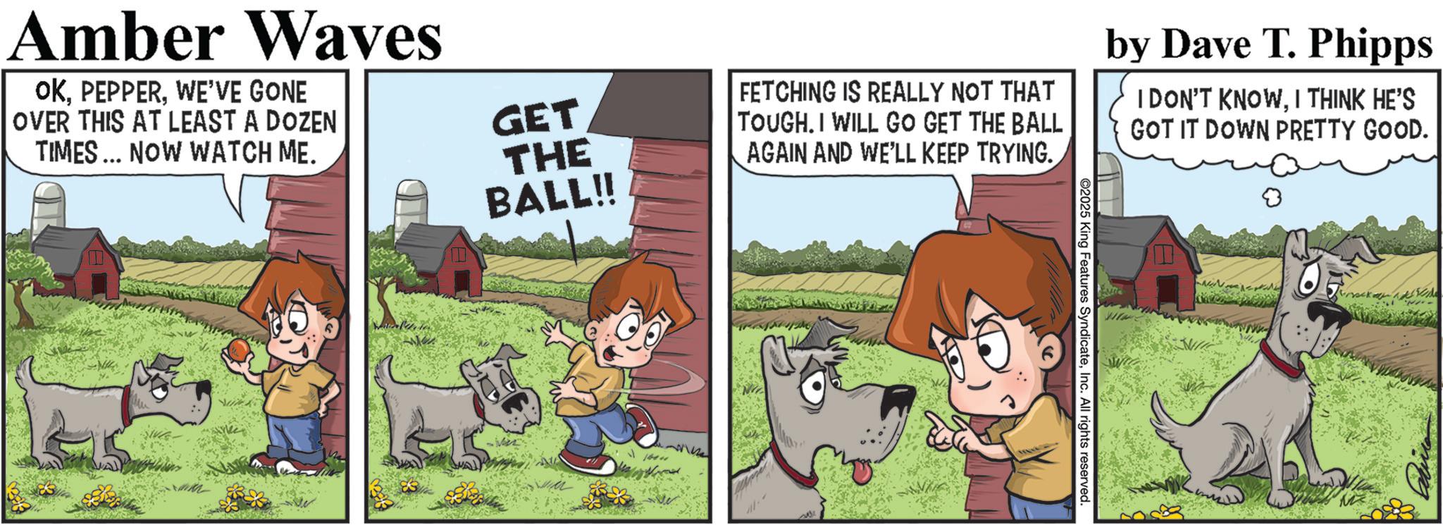 Publication OCR: Amber Waves OKWE'VE GONE OVER THIS AT LEAST A DOZEN TIMES... NOW WATCH ME. GET THE BALL!! FETCHING IS REALLY NOT THAT TOUGH. I WILL GO GET THE BALL AGAIN AND WE'LL KEEP TRYING. by Dave T. Phipps I DON'T KNOWI THINK HE'S GOT IT DOWN PRETTY GOOD. 2025 King Features SyndicateInc. All rights reserved. Amber Waves OKWE'VE GONE OVER THIS AT LEAST A DOZEN TIMES ... NOW WATCH ME . GET THE BALL !! FETCHING IS REALLY NOT THAT TOUGH . I WILL GO GET THE BALL AGAIN AND WE'LL KEEP TRYING . by Dave T. Phipps I DON'T KNOWI THINK HE'S GOT IT DOWN PRETTY GOOD . 2025 King Features SyndicateInc. All rights reserved .