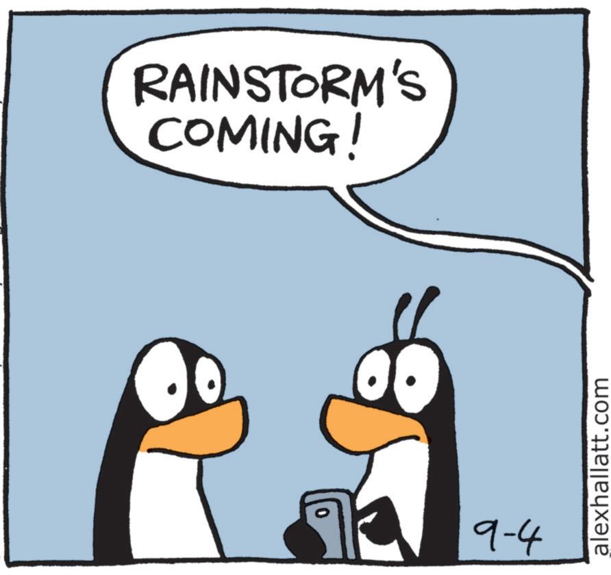 Penguin OCR: 0 RAINSTORM'S COMING! 9-4 alexhallatt.com 0 RAINSTORM'S COMING ! 9-4 alexhallatt.com
