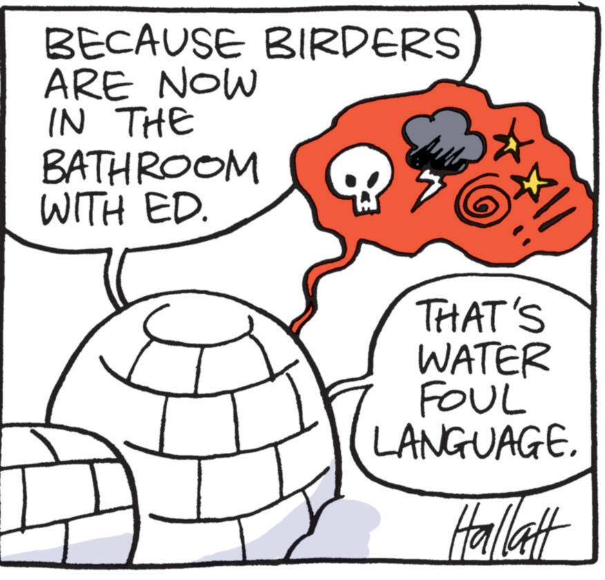 Fiction OCR: BECAUSE BIRDERS ARE NOW IN THE BATHROOM WITH ED. THAT'S WATER FOUL LANGUAGE. Hallatt BECAUSE BIRDERS ARE NOW IN THE BATHROOM WITH ED . THAT'S WATER FOUL LANGUAGE . Hallatt