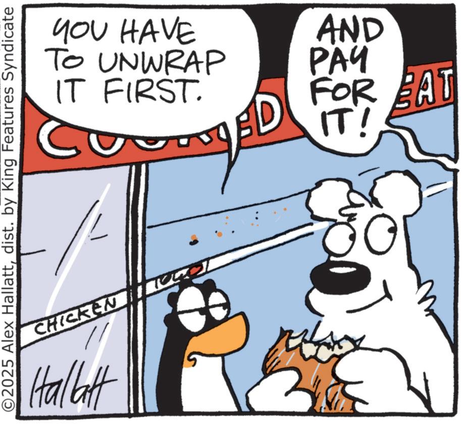 Fiction OCR: YOU HAVE TO UNWRAP IT FIRST. AND ??? D FOR ED FOR BAT IT! ©2025 Alex Hallattdist. by King Features Syndicate CHICKEN ?? Hallatt YOU HAVE TO UNWRAP IT FIRST . AND ??? D FOR ED FOR BAT IT ! © 2025 Alex Hallattdist . by King Features Syndicate CHICKEN ?? Hallatt