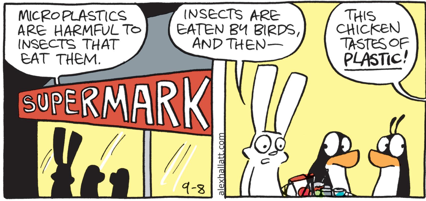 Animated cartoon OCR: MICROPLASTICS ARE HARMFUL TO INSECTS THAT EAT THEM. INSECTS ARE EATEN BY BIRDSAND THEN- SUPERMARK THIS CHICKEN TASTES OF PLASTIC! 9-8 alexhallatt.com MICROPLASTICS ARE HARMFUL TO INSECTS THAT EAT THEM . INSECTS ARE EATEN BY BIRDSAND THEN- SUPERMARK THIS CHICKEN TASTES OF PLASTIC ! 9-8 alexhallatt.com