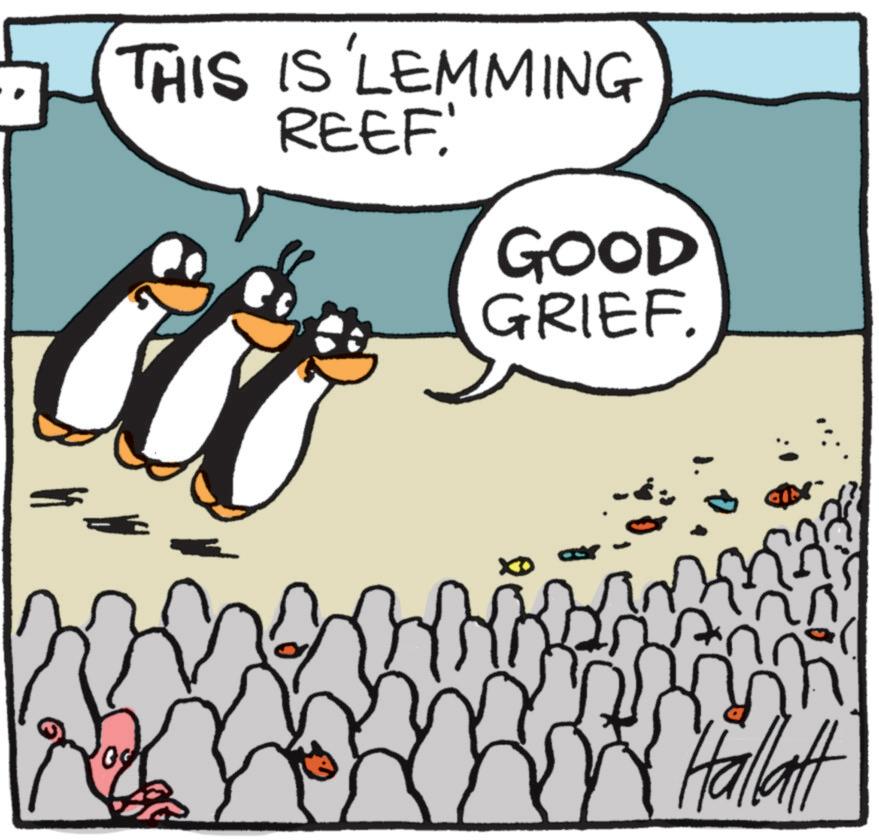 Animated cartoon OCR: THIS IS LEMMING REEF. GOOD GRIEF. ? Hallatt THIS IS LEMMING REEF . GOOD GRIEF . ? Hallatt