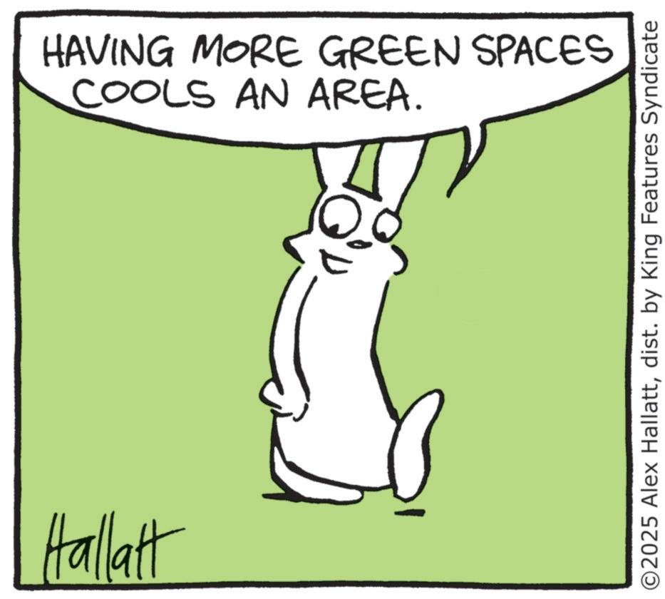 Animated cartoon OCR: Hallatt HAVING MORE GREEN SPACES COOLS AN AREA. ©2025 Alex Hallattdist. by King Features Syndicate Hallatt HAVING MORE GREEN SPACES COOLS AN AREA . © 2025 Alex Hallattdist . by King Features Syndicate