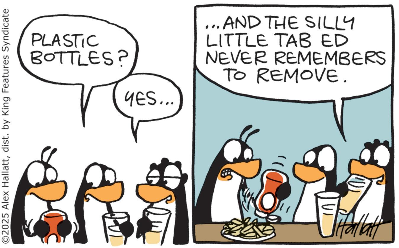 Comics OCR: ©2025 Alex Hallattdist. by King Features Syndicate PLASTIC BOTTLES? YES... AND THE SILLY LITTLE TAB ED NEVER REMEMBERS TO REMOVE. UT TitallaH © 2025 Alex Hallattdist . by King Features Syndicate PLASTIC BOTTLES ? YES ... AND THE SILLY LITTLE TAB ED NEVER REMEMBERS TO REMOVE . UT TitallaH