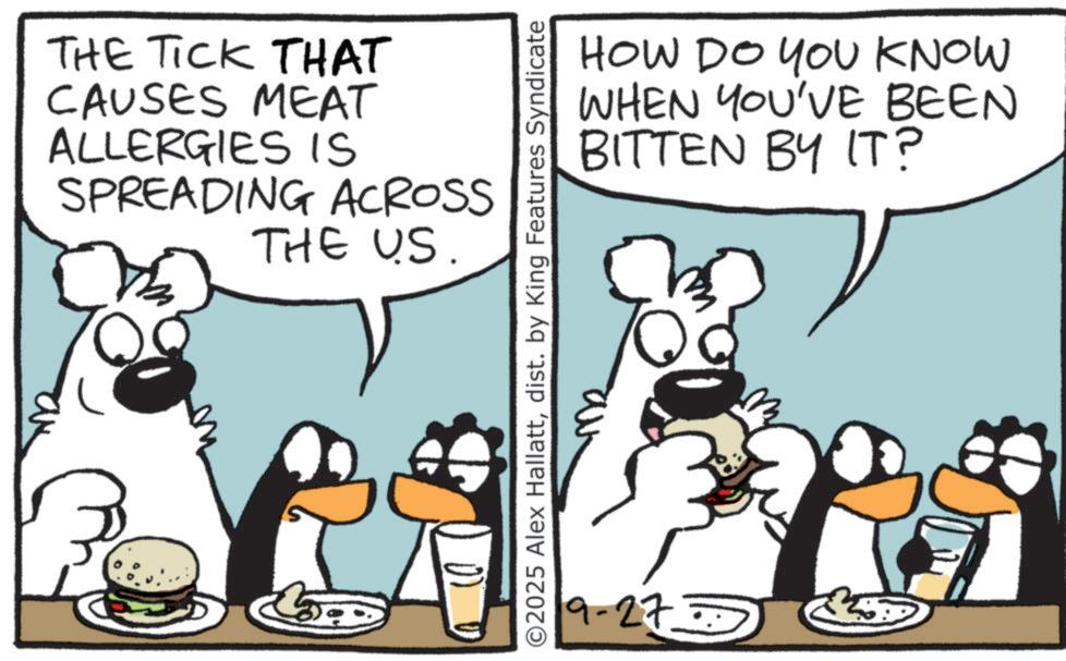 Comic book OCR: THE TICK THAT CAUSES MEAT ALLERGIES IS SPREADING ACROSS THE US. HOW DO YOU KNOW WHEN YOU'VE BEEN BITTEN BY IT? ©2025 Alex Hallattdist. by King Features Syndicate 19-27 THE TICK THAT CAUSES MEAT ALLERGIES IS SPREADING ACROSS THE US . HOW DO YOU KNOW WHEN YOU'VE BEEN BITTEN BY IT ? © 2025 Alex Hallattdist . by King Features Syndicate 19-27