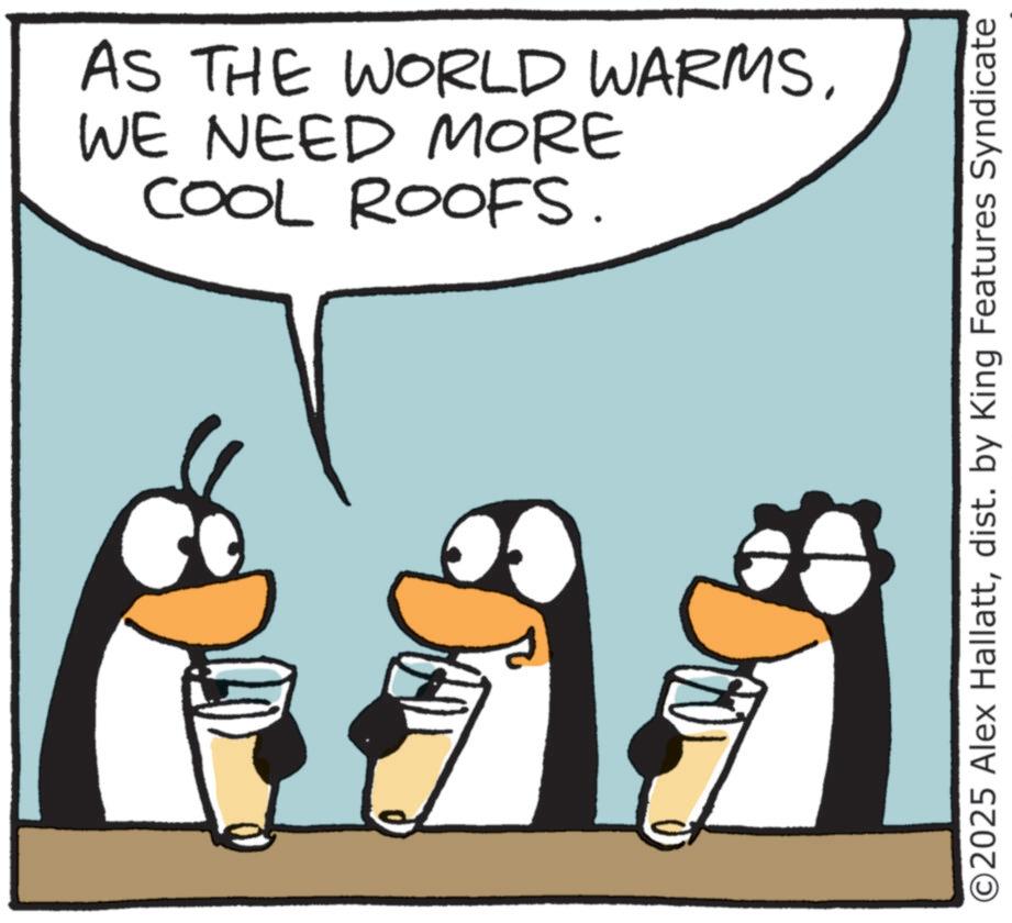 Photo caption OCR: AS THE WORLD WARMSWE NEED MORE COOL ROOFS. ©2025 Alex Hallattdist. by King Features Syndicate AS THE WORLD WARMSWE NEED MORE COOL ROOFS . © 2025 Alex Hallattdist . by King Features Syndicate