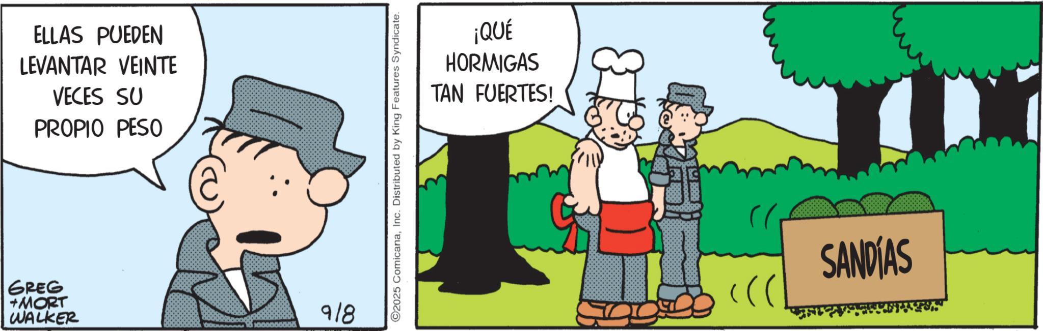 Comic book OCR: ELLAS PUEDEN LEVANTAR VEINTE VECES SU PROPIO PESO GREG +MORT WALKER 1000000000 918 2025 ComicanaInc. Distributed by King Features Syndicate. ¡QUÉ HORMIGAS TAN FUERTES! SANDÍAS ELLAS PUEDEN LEVANTAR VEINTE VECES SU PROPIO PESO GREG + MORT WALKER 1000000000 918 2025 ComicanaInc. Distributed by King Features Syndicate . ¡ QUÉ HORMIGAS TAN FUERTES ! SANDÍAS