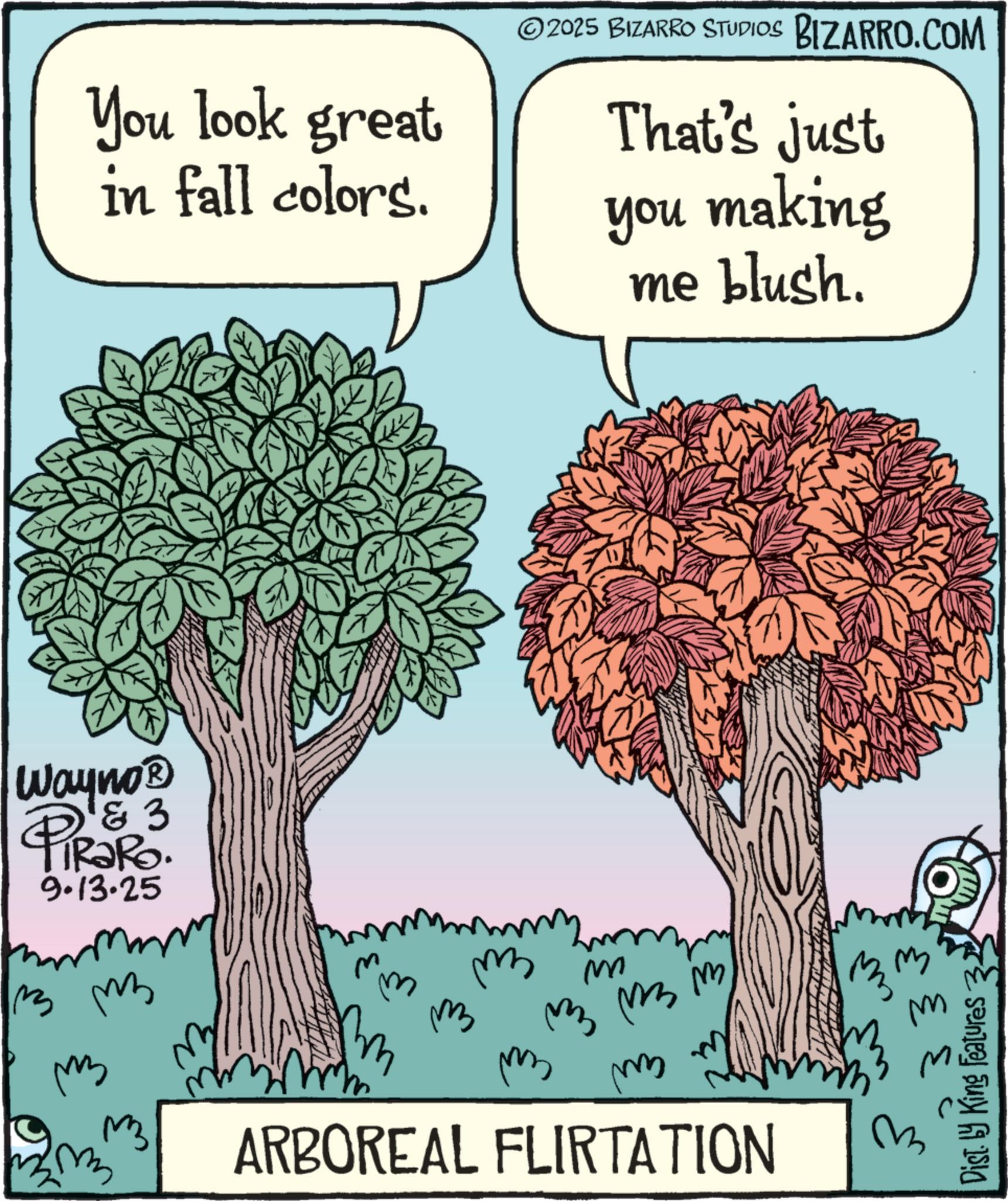 Graphics OCR: You look great in fall colors. 02025 BIZARRO STUDIOS BIZARRO.COM That's just you making me blush. Wayno? 3 PiRaRo 9.13.25 3 m ?? ?? mmm m ? M ? ? imm ARBOREAL FLIRTATION B ??? Dist. by King Features 3 You look great in fall colors . 02025 BIZARRO STUDIOS BIZARRO.COM That's just you making me blush . Wayno? 3 PiRaRo 9.13.25 3 m ?? ?? mmm m ? M ? ? imm ARBOREAL FLIRTATION B ??? Dist . by King Features 3