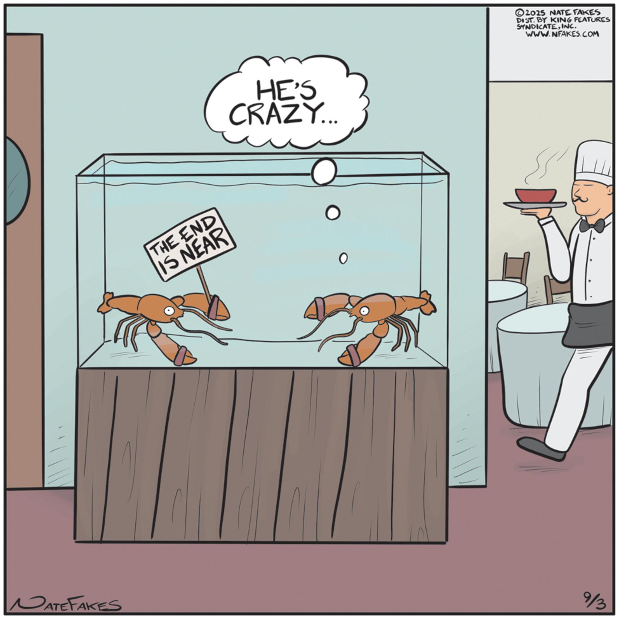 Shellfish OCR: HE'S CRAZY... THE END IS NEAR ? ©2025 NATE FAKES DIST. BY KING FEATURES SYNDICATEINC. WWW.NFAKES.COM DATEFAKES 9/3 HE'S CRAZY ... THE END IS NEAR ? © 2025 NATE FAKES DIST . BY KING FEATURES SYNDICATEINC . WWW.NFAKES.COM DATEFAKES 9/3
