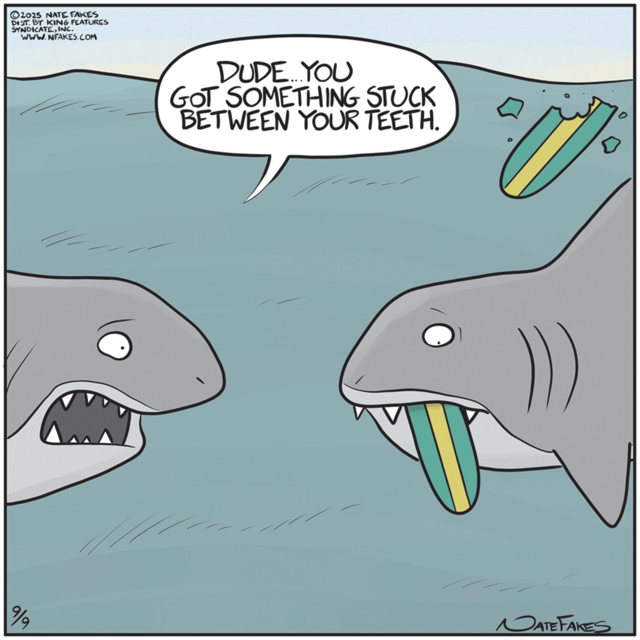 Fin OCR: ©2015 NATE FAKES DIST. BY KING FEATURES SYNDICATEINC. WWW.NFAKES.COM 9/9 DUDE...YOU GOT SOMETHING STUCK BETWEEN YOUR TEETH. 07 MATE FAKES © 2015 NATE FAKES DIST . BY KING FEATURES SYNDICATEINC . WWW.NFAKES.COM 9/9 DUDE ... YOU GOT SOMETHING STUCK BETWEEN YOUR TEETH . 07 MATE FAKES