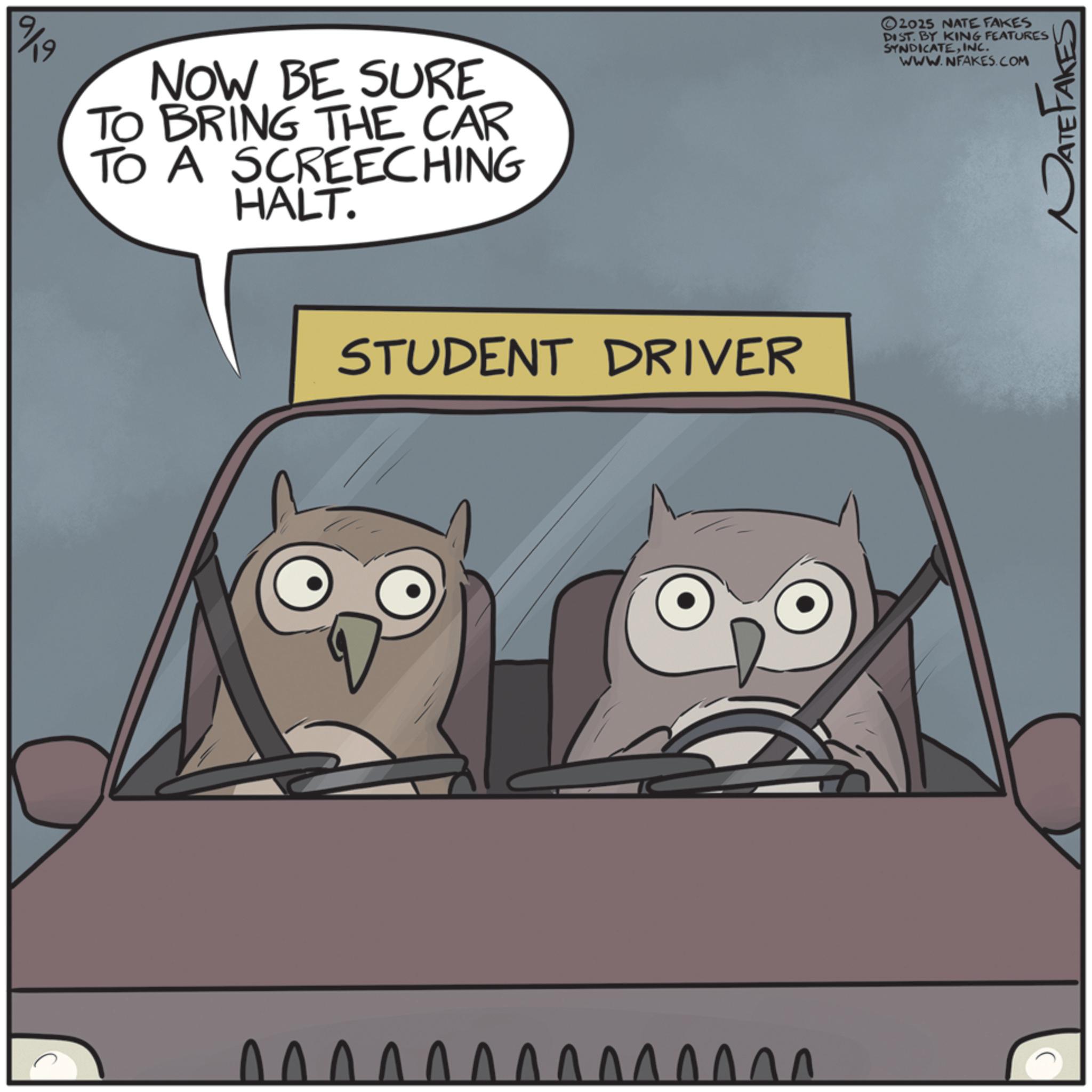 Windscreen wiper OCR: 9/9 NOW BE SURE TO BRING THE CAR TO A SCREECHING HALT. STUDENT DRIVER ?????????????? 2025 NATE FAKES DIST. BY KING FEATURES SYNDICATEINC. WWW.NFAKES.COM PATE FAKES 9/9 NOW BE SURE TO BRING THE CAR TO A SCREECHING HALT . STUDENT DRIVER ?????????????? 2025 NATE FAKES DIST . BY KING FEATURES SYNDICATEINC . WWW.NFAKES.COM PATE FAKES