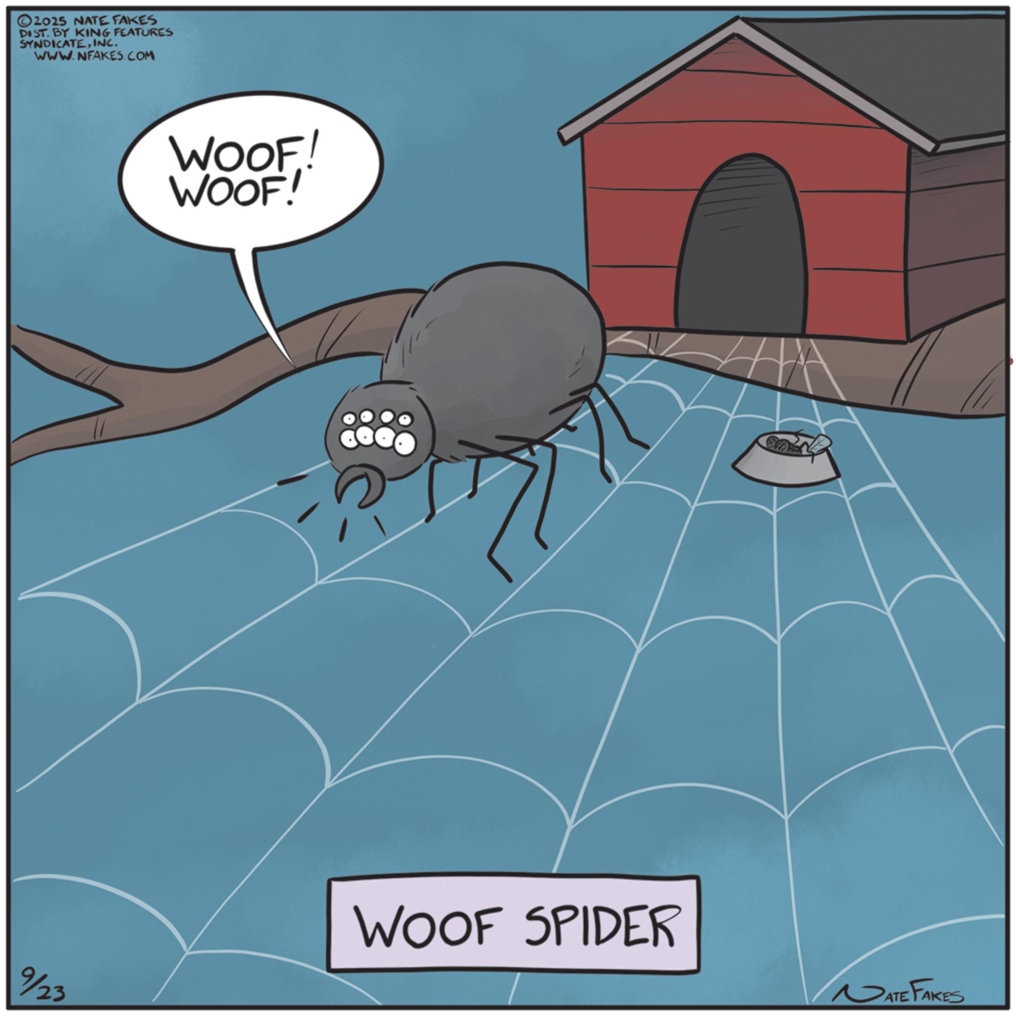 Animation OCR: 2025 NATE FAKES DIST. BY KING FEATURES SYNDICATEINC. WWW.NFAKES.COM WOOF! WOOF! 9/23 WOOF SPIDER NATE FAKES 2025 NATE FAKES DIST . BY KING FEATURES SYNDICATEINC . WWW.NFAKES.COM WOOF ! WOOF ! 9/23 WOOF SPIDER NATE FAKES