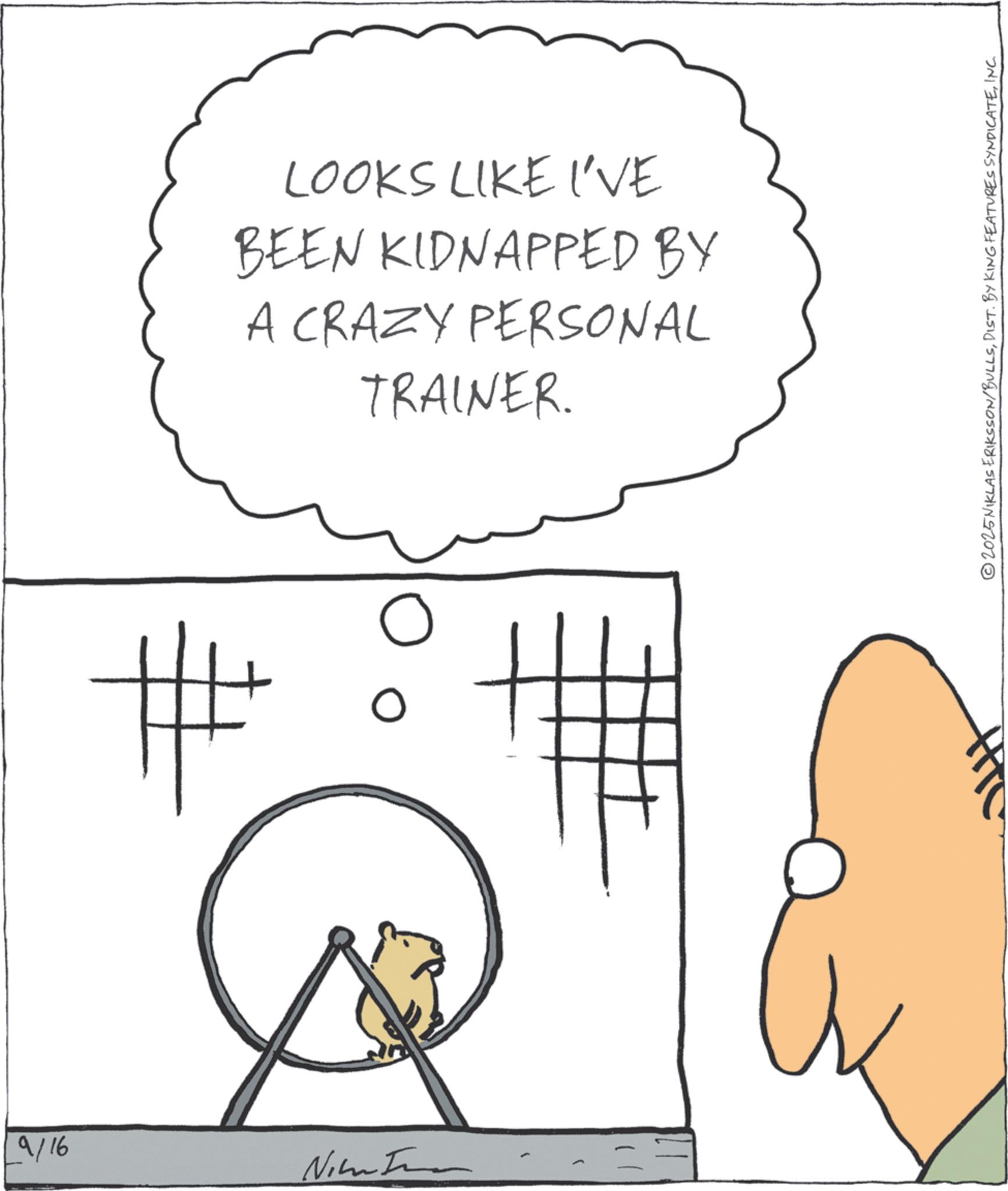 Clip art OCR: 9/16 Nim LOOKS LIKE I'VE BEEN KIDNAPPED BY A CRAZY PERSONAL TRAINER. ? 0 # ©2025NIKLAS ERIKSSON/BULLSINC. 9/16 Nim LOOKS LIKE I'VE BEEN KIDNAPPED BY A CRAZY PERSONAL TRAINER . ? 0 # © 2025NIKLAS ERIKSSON / BULLSDIST . BY KING FEATURES SYNDICATEINC .