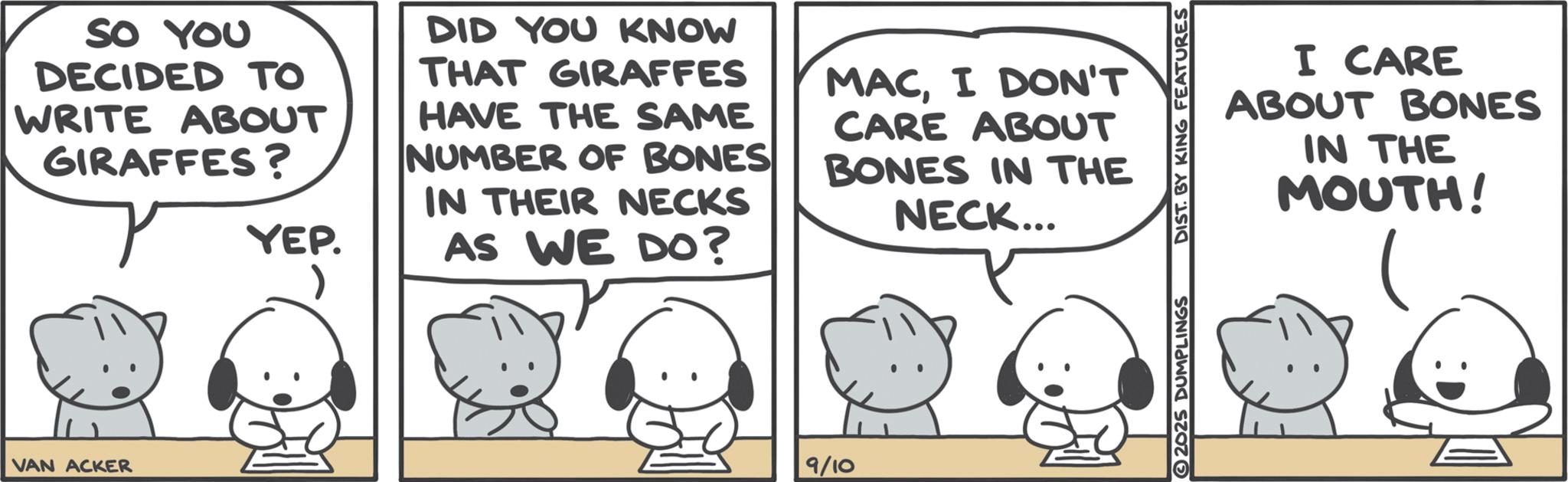 Graphics OCR: SO YOU DECIDED TO WRITE ABOUT GIRAFFES? YEP. DID YOU KNOW THAT GIRAFFES HAVE THE SAME NUMBER OF BONES IN THEIR NECKS AS WE DO? MACI DON'T CARE ABOUT BONES IN THE NECK... VAN ACKER 9/10 2025 DUMPLINGS DIST. BY KING FEATURES I CARE ABOUT BONES IN THE MOUTH! SO YOU DECIDED TO WRITE ABOUT GIRAFFES ? YEP . DID YOU KNOW THAT GIRAFFES HAVE THE SAME NUMBER OF BONES IN THEIR NECKS AS WE DO ? MACI DON'T CARE ABOUT BONES IN THE NECK ... VAN ACKER 9/10 2025 DUMPLINGS DIST . BY KING FEATURES I CARE ABOUT BONES IN THE MOUTH !
