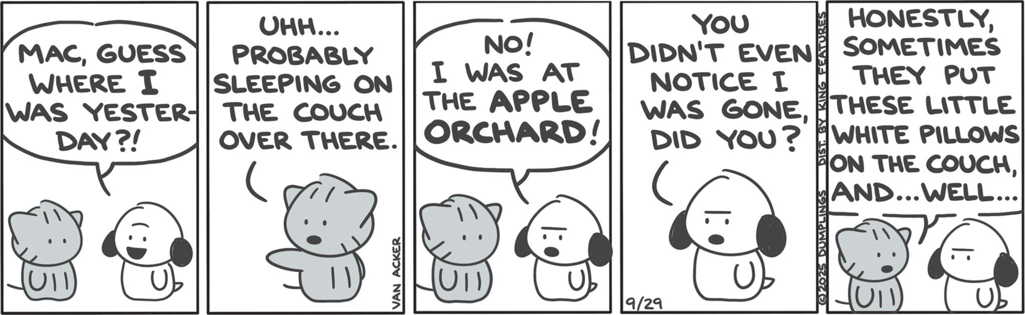 Fictional character OCR: UII MACGUESS WHERE I WAS YESTER DAY?! UHH... PROBABLY SLEEPING ON THE COUCH NO! I WAS AT THE APPLE OVER THERE. ORCHARD! YOU DIDN'T EVEN NOTICE I WAS GONEDID YOU? URES HONESTLYSOMETIMES THEY PUT THESE LITTLE WHITE PILLOWS ON THE COUCHAND...WELL... VAN ACKER UII Ub 9/29 2025 DUMPLINGS UII MACGUESS WHERE I WAS YESTER DAY ?! UHH ... PROBABLY SLEEPING ON THE COUCH NO ! I WAS AT THE APPLE OVER THERE . ORCHARD ! YOU DIDN'T EVEN NOTICE I WAS GONEDID YOU ? URES HONESTLYSOMETIMES THEY PUT THESE LITTLE WHITE PILLOWS ON THE COUCHAND ... WELL ... VAN ACKER UII Ub 9/29 2025 DUMPLINGS