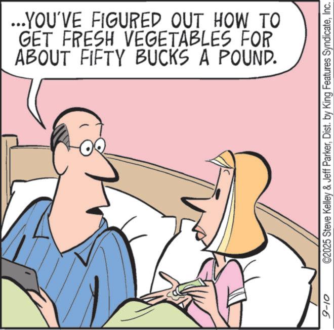 Animation OCR: ...YOU'VE FIGURED OUT HOW TO GET FRESH VEGETABLES FOR ABOUT FIFTY BUCKS A POUND. 9-10 ©2025 Steve Kelley & Jeff ParkerInc. ... YOU'VE FIGURED OUT HOW TO GET FRESH VEGETABLES FOR ABOUT FIFTY BUCKS A POUND . 9-10 © 2025 Steve Kelley & Jeff ParkerDist . by King Features Syndicate