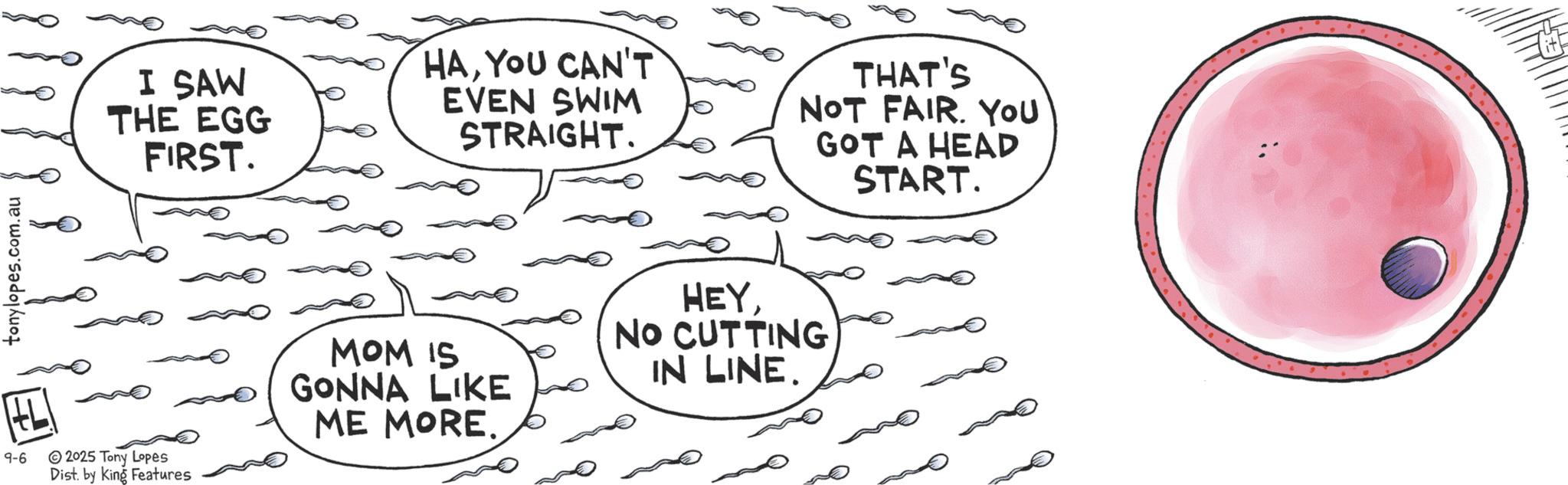 Line art OCR: I SAW THE EGG FIRST. HAYOU CAN'T EVEN SWIM STRAIGHT. THAT'S NOT FAIR. You GOT A HEAD START. tonylopes.com.au 9-6 2025 Tony Lopes Dist. by King Features MOM IS GONNA LIKE ME MORE. HEYNO CUTTING IN LINE. it I SAW THE EGG FIRST . HAYOU CAN'T EVEN SWIM STRAIGHT . THAT'S NOT FAIR . You GOT A HEAD START . tonylopes.com.au 9-6 2025 Tony Lopes Dist . by King Features MOM IS GONNA LIKE ME MORE . HEYNO CUTTING IN LINE . it