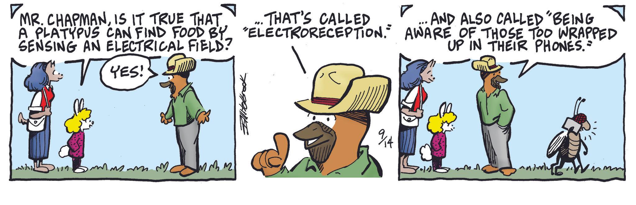 Pack animal OCR: MR. CHAPMANIS IT TRUE THAT A PLATYPUS CAN FIND FOOD BY SENSING AN ELECTRICAL FIELD? TYES! ? ... THAT'S CALLED • AND ALSO CALLED "BEING ELECTRORECEPTION. AWARE OF THOSE TOO WRAPPED UP IN THEIR PHONES." 9/14 ? smmmm. MMM MR . CHAPMANIS IT TRUE THAT A PLATYPUS CAN FIND FOOD BY SENSING AN ELECTRICAL FIELD ? TYES ! ? ... THAT'S CALLED • AND ALSO CALLED " BEING ELECTRORECEPTION . AWARE OF THOSE TOO WRAPPED UP IN THEIR PHONES . " 9/14 ? smmmm . MMM