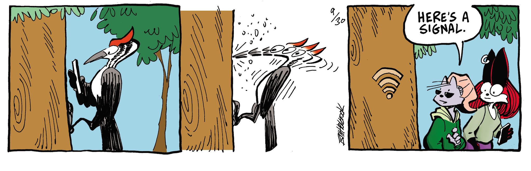Animation OCR: ????? ??? a/30 HERE'S A SIGNAL. ???? www www ????? ??? a / 30 HERE'S A SIGNAL . ???? www www