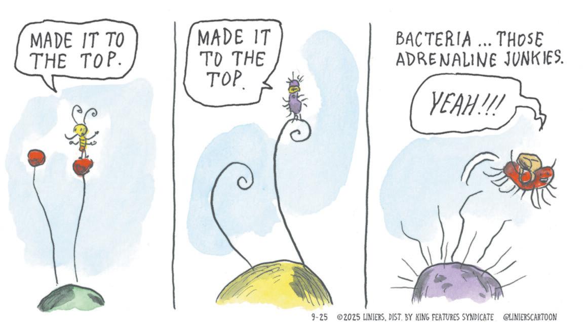 Sketch OCR: MADE IT TO THE TOP. MADE IT TO THE ???. BACTERIA ... THOSE ADRENALINE JUNKIES. YEAH!!! 9-25 2025 LINIERSDIST. BY KING FEATURES SYNDICATE @LINIERSCARTOON MADE IT TO THE TOP . MADE IT TO THE ??? . BACTERIA ... THOSE ADRENALINE JUNKIES . YEAH !!! 9-25 2025 LINIERSDIST . BY KING FEATURES SYNDICATE @LINIERSCARTOON