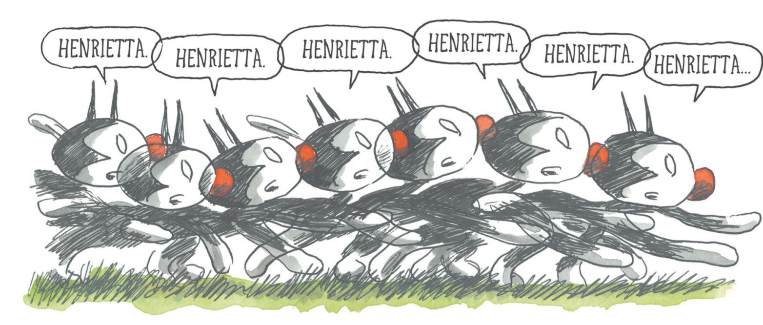 Graphics OCR: HENRIETTA. HENRIETTA. HENRIETTA. HENRIETTA. HENRIETTA. HENRIETTA... HENRIETTA . HENRIETTA . HENRIETTA . HENRIETTA . HENRIETTA . HENRIETTA ...