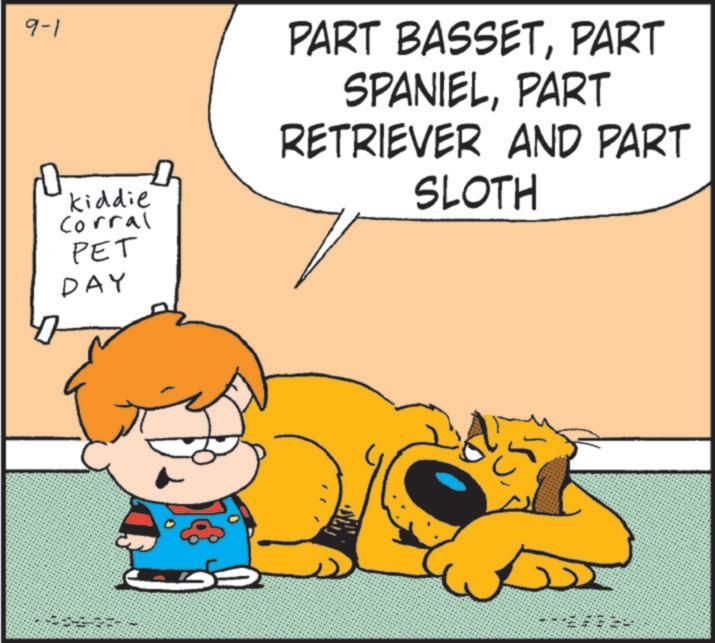 Pleased OCR: 9-1 kiddie Corral PET DAY PART BASSETPART SPANIELPART RETRIEVER AND PART SLOTH 9-1 kiddie Corral PET DAY PART BASSETPART SPANIELPART RETRIEVER AND PART SLOTH