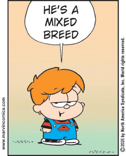 Clip art OCR: www.marvincomics.com BREED MIXED XED HE'S A 2025 by North America SyndicateInc. World rights reserved. www.marvincomics.com BREED MIXED XED HE'S A 2025 by North America SyndicateInc. World rights reserved .