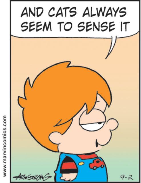 Child OCR: www.marvincomics.com AND CATS ALWAYS SEEM TO SENSE IT ARMSTRONG 9-2 www.marvincomics.com AND CATS ALWAYS SEEM TO SENSE IT ARMSTRONG 9-2