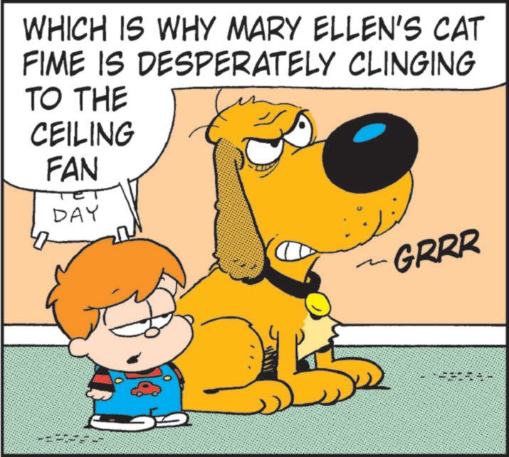 Gesture OCR: WHICH IS WHY MARY ELLEN'S CAT FIME IS DESPERATELY CLINGING TO THE CEILING FAN DAY - GRRR WHICH IS WHY MARY ELLEN'S CAT FIME IS DESPERATELY CLINGING TO THE CEILING FAN DAY - GRRR