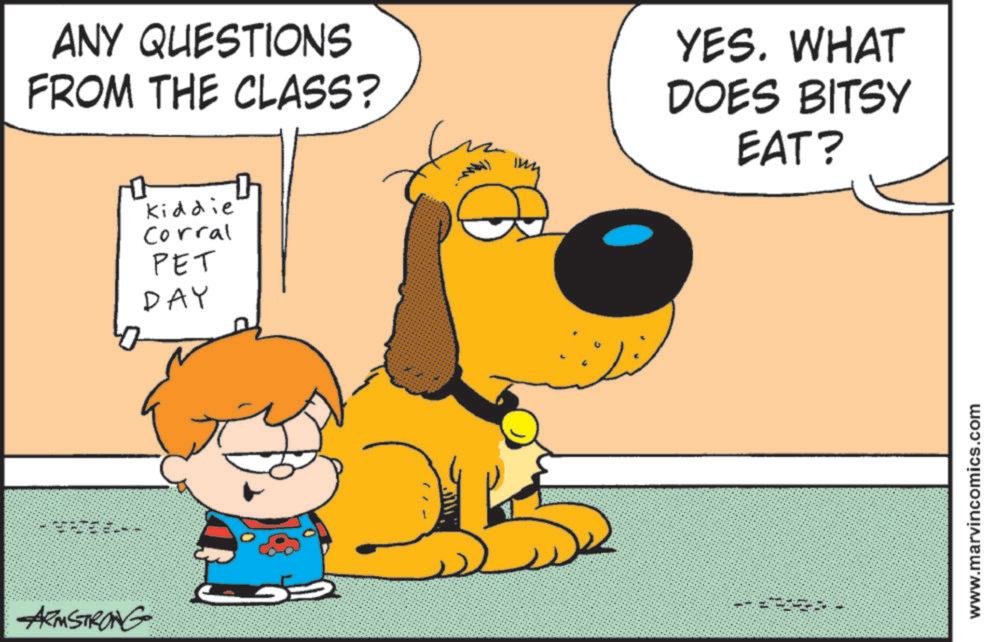 Fictional character OCR: ARMSTRONG ANY QUESTIONS FROM THE CLASS? YES. WHAT DOES BITSY EAT? Kiddie Corral PET DAY www.marvincomics.com ARMSTRONG ANY QUESTIONS FROM THE CLASS ? YES . WHAT DOES BITSY EAT ? Kiddie Corral PET DAY www.marvincomics.com