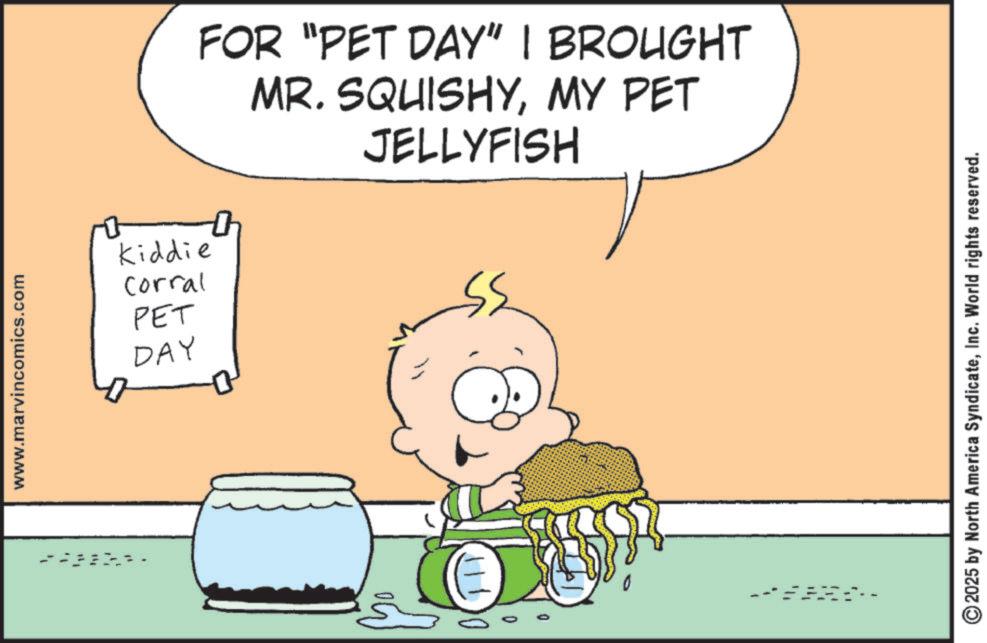Cartoon OCR: www.marvincomics.com Kiddie Corral PET DAY FOR "PET DAY" I BROUGHT MR. SQUISHYMY PET JELLYFISH 2025 by North America SyndicateInc. World rights reserved. www.marvincomics.com Kiddie Corral PET DAY FOR " PET DAY " I BROUGHT MR . SQUISHYMY PET JELLYFISH 2025 by North America SyndicateInc. World rights reserved .